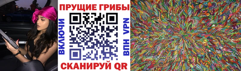 Псилоцибиновые грибы MAGIC MUSHROOMS Купить Чудово