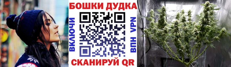 Купить где  Чудово  Бошки Шишки конопля 